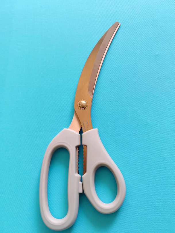 ED10 Barbecue shears